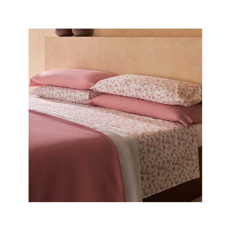 bassols sabanas fiona rosa 2