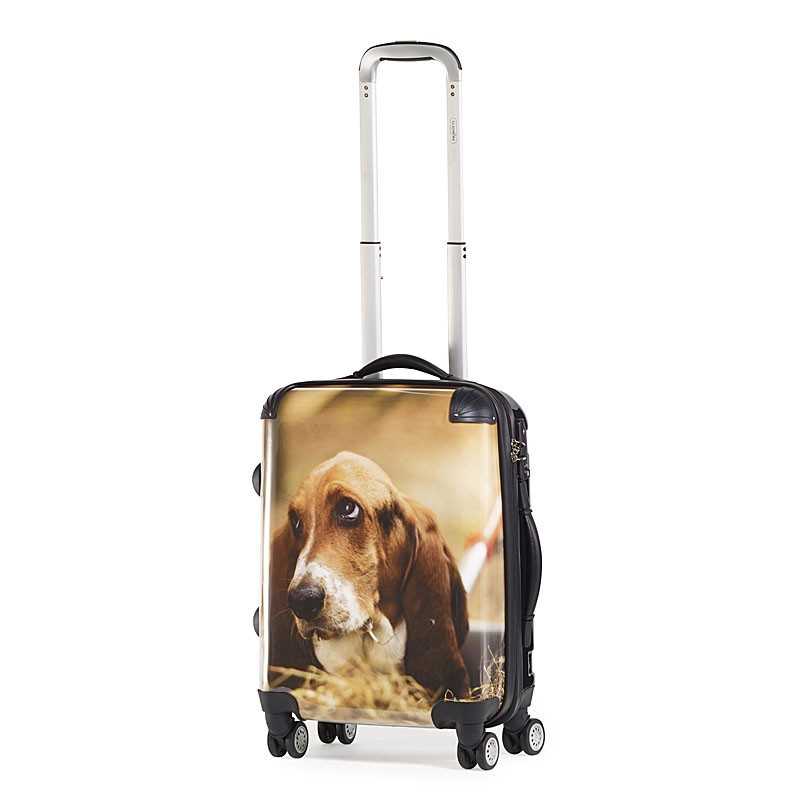 Maleta  Vogart Wipple