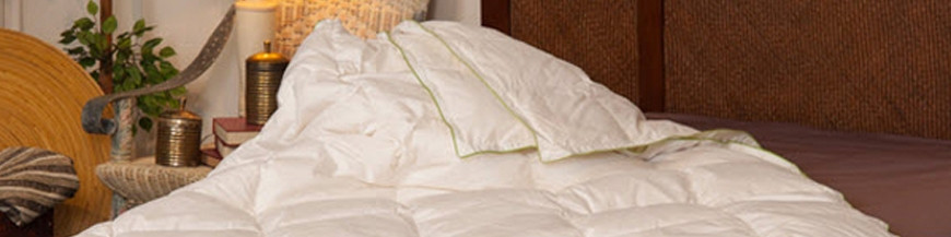 Rellenos nórdicos pluma